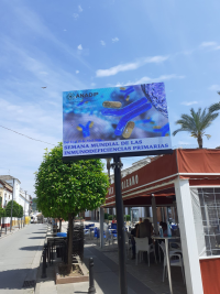 20210424 Semana IDP2021 Villafranca t