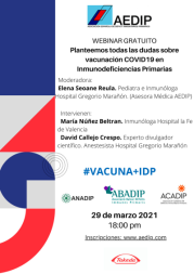 Primer congreso virtual t