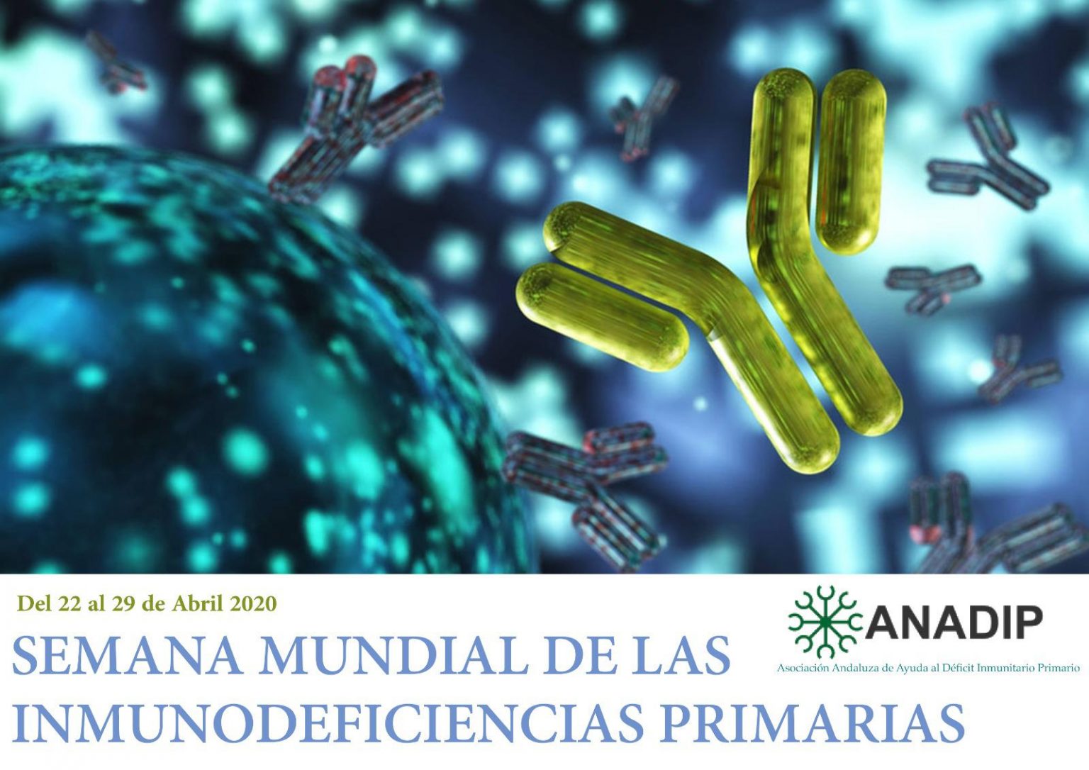 Semana Mundial 2020 1536x1086